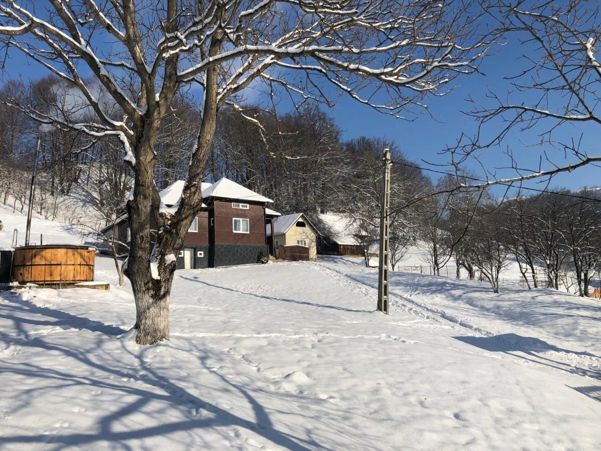 Cabana Hatere Moisei Extérieur photo
